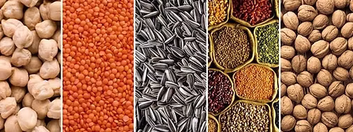 Bulk oilseeds and grains